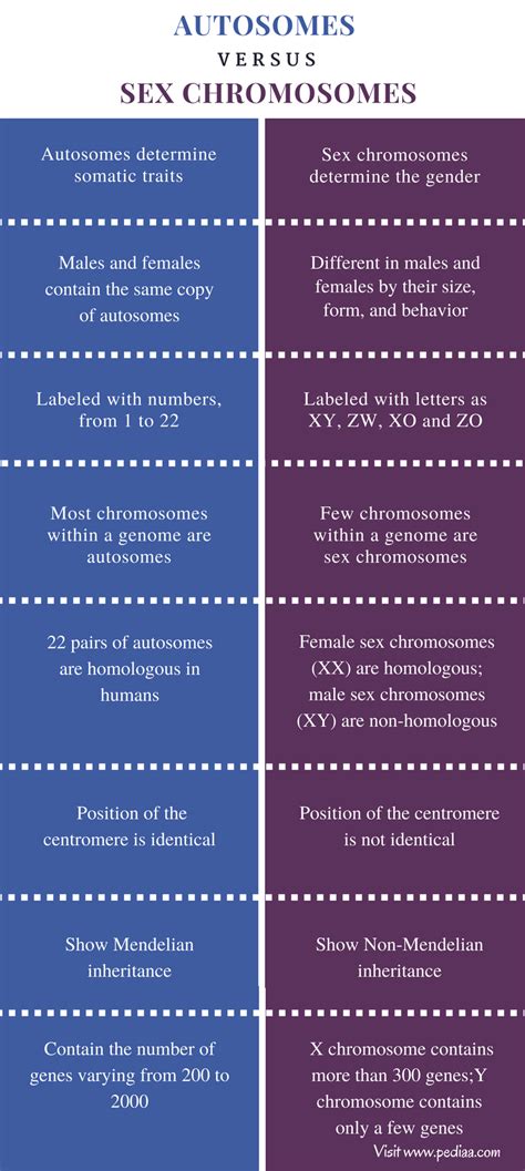 Difference Between Autosomes and Sex Chromosomes | Definition, Function, Related Genetic Disorders