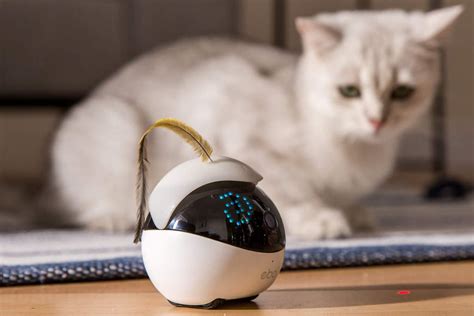 This Incredible Robot Cat Toy Will Keep Kitty Entertained for Hours | Daily Paws