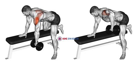 Dumbbell Rear Delt Row_shoulder - Home Gym Review