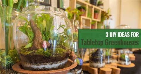 3 DIY Tabletop Greenhouse Ideas | Greenhouse Emporium