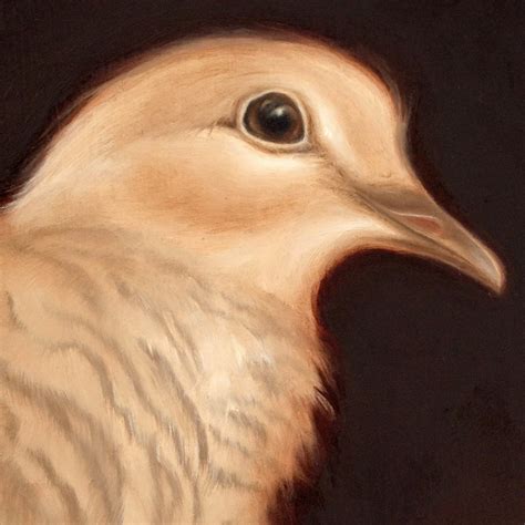 Original Signed Oil Painting on MDF, unrequited Love Collared Dove - Etsy