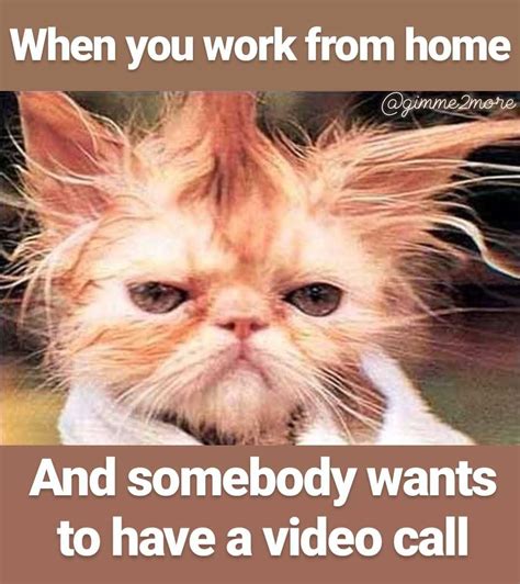 √ When I Get Home From Work Meme