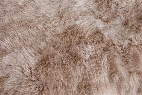 Animal fur texture- rabbit stock image. Image of furry - 371483