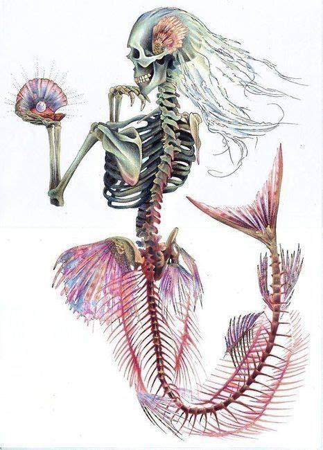 pretty (With images) | Mermaid skeleton, Mermaid art, Mermaid tattoo