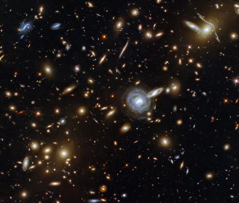 A Menagerie of Galaxies: Hubble Captures a Cluster With Galaxies of All Shapes and Sizes