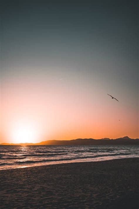 Man Running in the Beach during Sunset · Free Stock Photo