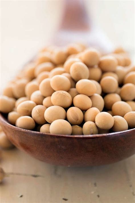 Soybeans Canned