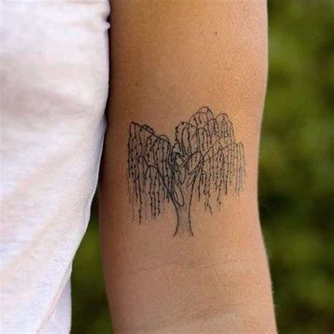 Willow Tree Tattoo Drawings