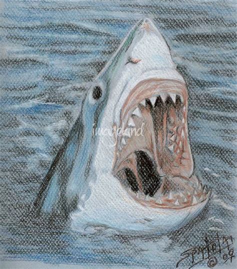 Realism "Shark" Drawings And Illustrations For Sale On Fine Art Prints