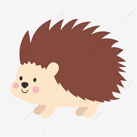 Hedgehog Illustration Vector PNG Images, Cute Hedgehog Cartoon Illustration, Hedgehog Clipart ...