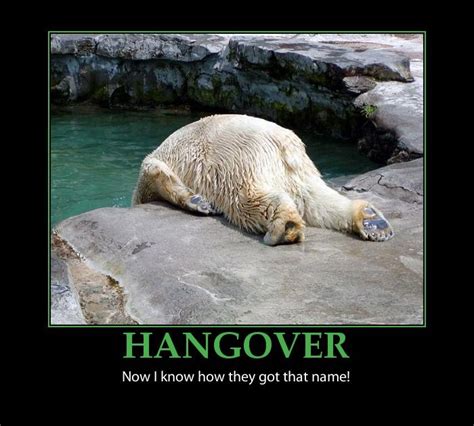 25+ best Hangover quotes on Pinterest | Hangover humor, Funny hangover ...