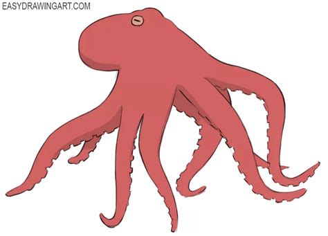 How to Draw an Octopus - Easy Drawing Art