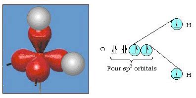 Valence Bond and Molecular Orbital Models