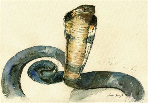 Snake tattoo design, Watercolor, Snake