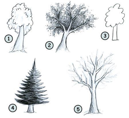 Tree Drawing, Painting & Drawing, Drawing Ideas, Drawing Tips, Doodle Drawings, Cartoon Drawings ...