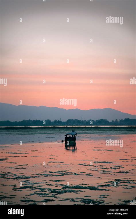 Shikara in srinagar, Dal lake during sunset Stock Photo - Alamy