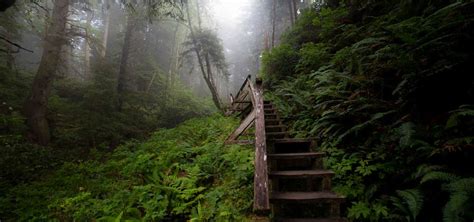 10 Facts about Pacific Northwest National Parks • Explorer Sue - Your ...