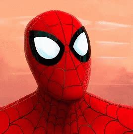 Spider Man Into The Spider Verse Peter Parker GIF - Spider Man Into The Spider Verse Peter ...