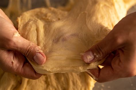 Dough kneading - Homebakers