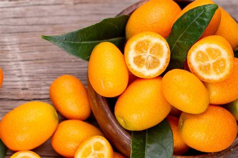 10 Kumquat Varieties (The Most Common Varieties of Kumquat) - ChowTray