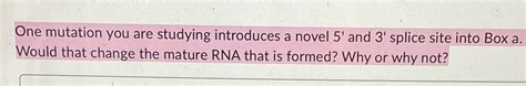 Solved One mutation you are studying introduces a novel 5' | Chegg.com