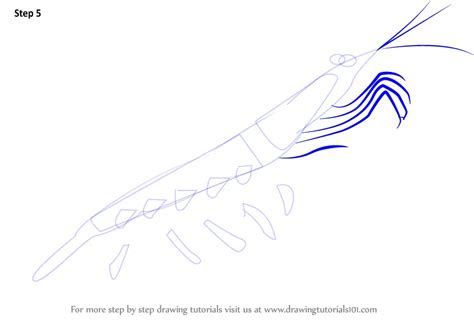 Learn How to Draw a Antarctic Krill (Antarctic Animals) Step by Step ...