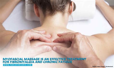 5 Massage Techniques to Ease Back Pain | The Physiotherapy and ...