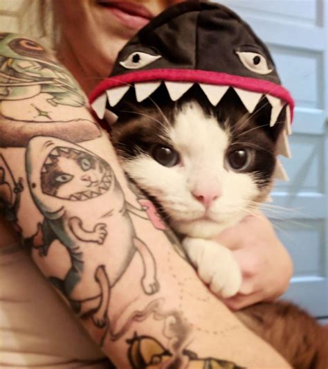 tattoo of my girlfriend's cat in a shark costume and her actual cat in a shark costume : r/cute