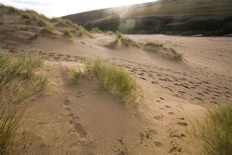 Winter Sand Dunes | Cornwall Guide Images