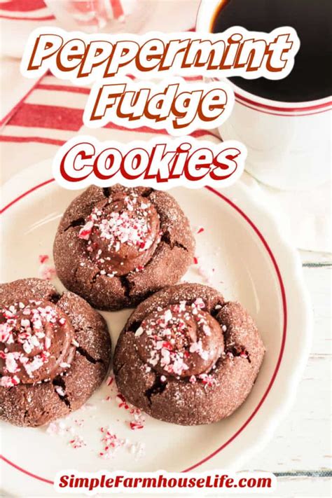 Best Chewy Chocolate Peppermint Cookies