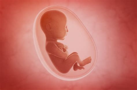 How 3D Modeling Technology Is Being Used to Pinpoint and Rectify Birth Defects