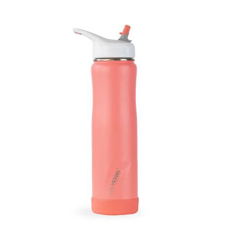 Insulated Straw Water Bottle - Reusable Stainless Steel Bottle with ...