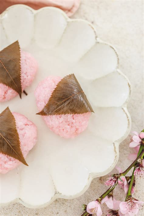 Sakura Mochi (Naturally Coloured) - Veggiekins Blog