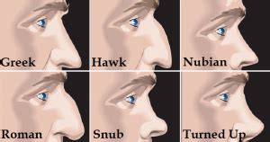 Here’s What The Shape Of Your Nose Reveals About Your Personality