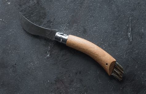 The Best Mushroom Hunting Knives