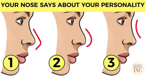 What Does Your Nose Shape Reveal About Your Personality?