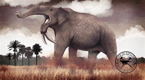 Paleo-Art: Deinotherium by vcubestudios on DeviantArt