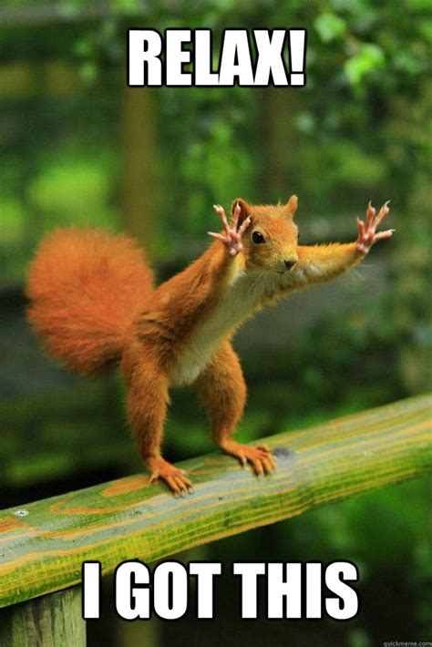 Relax! I got this - Red squirrel - quickmeme