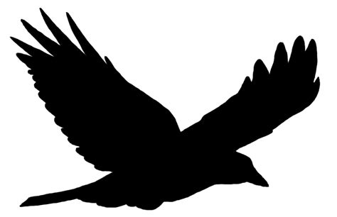 Free Raven In Flight Silhouette, Download Free Raven In Flight Silhouette png images, Free ...