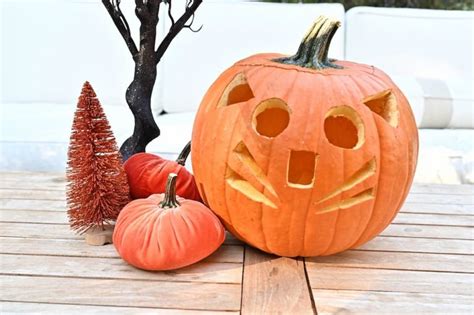 5 Cat Pumpkin Carving Ideas to Try at Home - Great Pet Living