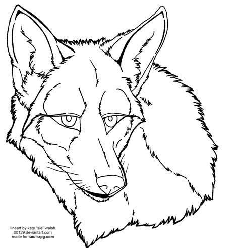 Coyote Head Drawing at GetDrawings | Free download