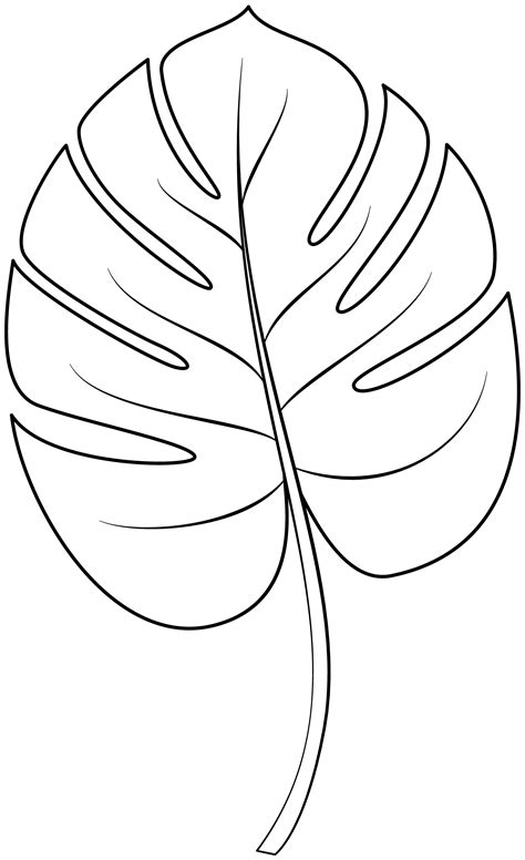 Tropical Leaves Coloring Pages Coloring Pages