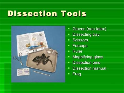 Frog Dissection Ppt