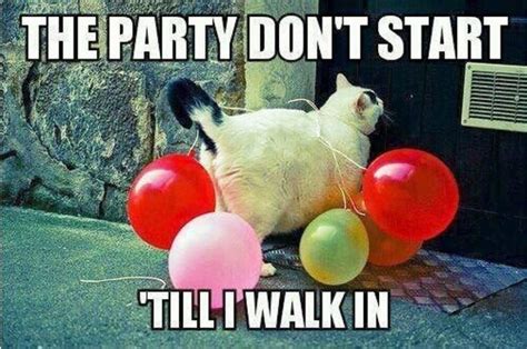 100 Amazing Party Memes - Funny Memes