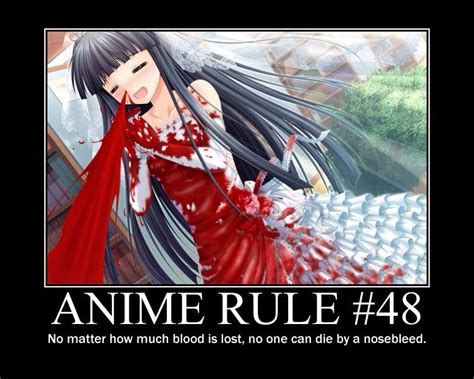 The anime rules | Anime Amino