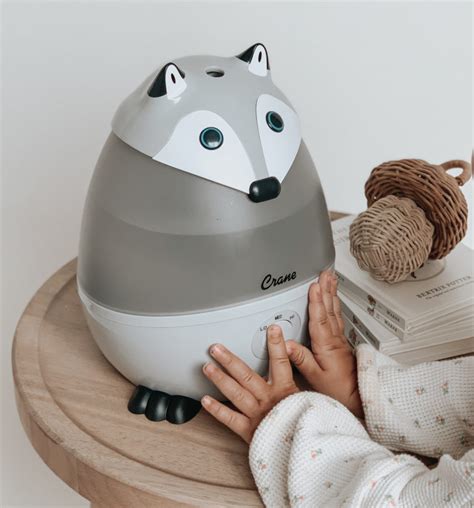 Should You Have a Humidifier in Baby’s Room? - Crane Baby