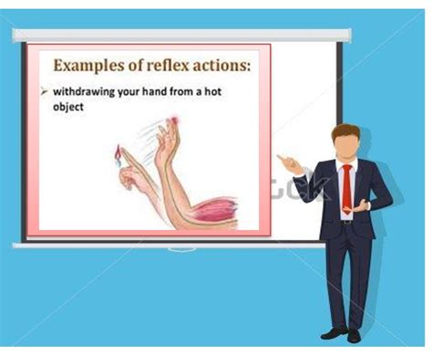 Lesson Plan of Reflex Action General Science Grade VIII