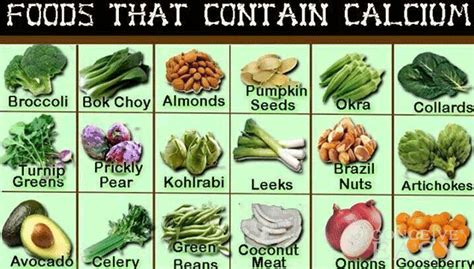 Calcium During Pregnancy - Calcium Rich Foods For Pregnancy - Test Blog