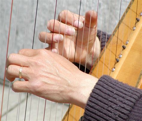 Study Explores Effects of Harp Music on ICU Patients | University of ...