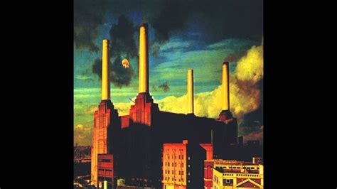 Pink Floyd - Dogs (1977) | Pink floyd animals, Pink floyd dogs, Pink floyd albums